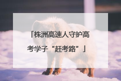 株洲高速人守护高考学子“赶考路”