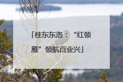 桂东东洛：“红领雁”领航百业兴