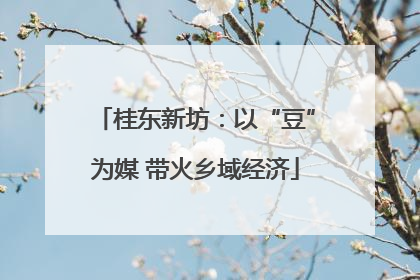 桂东新坊：以“豆”为媒 带火乡域经济