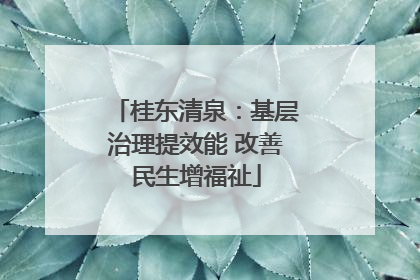 桂东清泉：基层治理提效能 改善民生增福祉