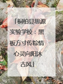 桐柏县思源实验学校：黑板方寸传粽情 心灵向阳沐古风