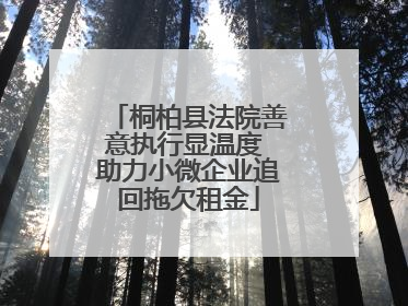 桐柏县法院善意执行显温度 助力小微企业追回拖欠租金