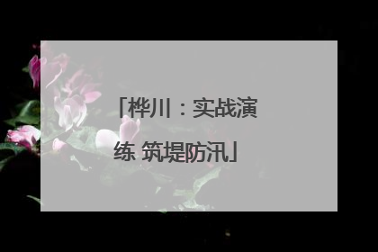 桦川：实战演练 筑堤防汛