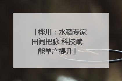 桦川：水稻专家田间把脉 科技赋能单产提升