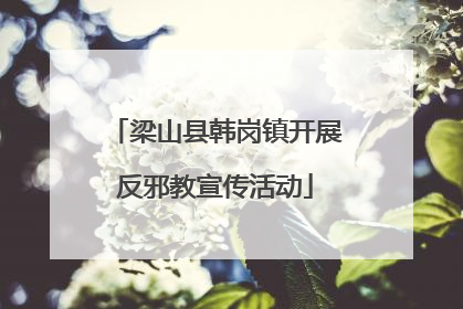 梁山县韩岗镇开展反邪教宣传活动