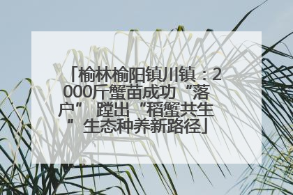 榆林榆阳镇川镇：2000斤蟹苗成功“落户” 蹚出“稻蟹共生”生态种养新路径