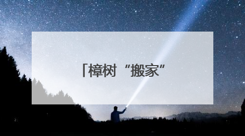 樟树“搬家”，邻里和好