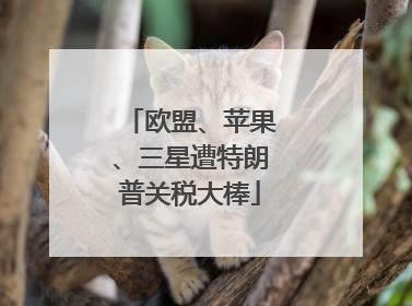欧盟、苹果、三星遭特朗普关税大棒