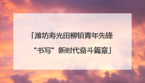 潍坊寿光田柳镇青年先锋“书写”新时代奋斗篇章