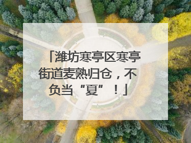 潍坊寒亭区寒亭街道麦熟归仓，不负当“夏”！
