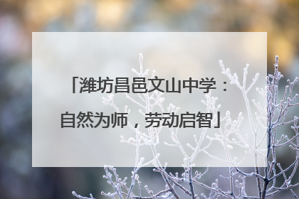 潍坊昌邑文山中学：自然为师，劳动启智