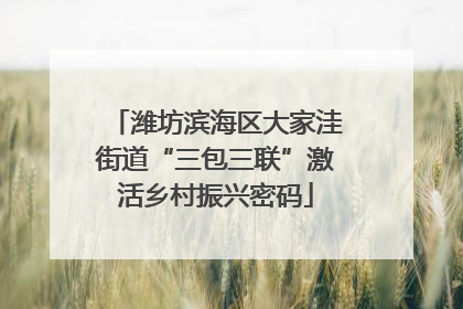潍坊滨海区大家洼街道“三包三联”激活乡村振兴密码