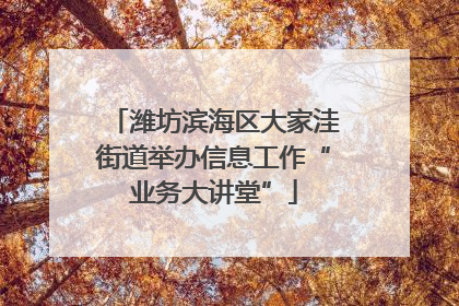 潍坊滨海区大家洼街道举办信息工作“业务大讲堂”