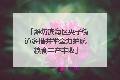 潍坊滨海区央子街道多措并举全力护航粮食丰产丰收