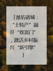潍坊诸城：“土特产”敲开“致富门”，激活乡村振兴“新引擎”