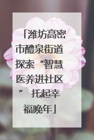 潍坊高密市醴泉街道探索“智慧医养进社区” 托起幸福晚年