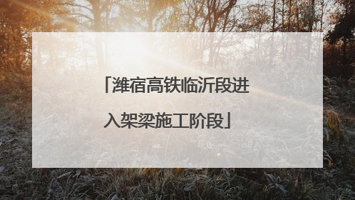 潍宿高铁临沂段进入架梁施工阶段