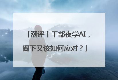 潮评丨干部夜学AI，阁下又该如何应对？