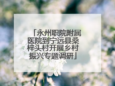 永州职院附属医院到宁远县桑梓头村开展乡村振兴专题调研