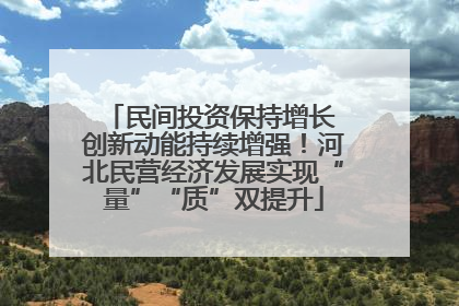 民间投资保持增长 创新动能持续增强！河北民营经济发展实现“量”“质”双提升