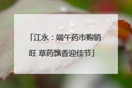 江永：端午药市购销旺 草药飘香迎佳节