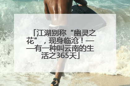 江湖别称“幽灵之花”，现身临沧！——有一种叫云南的生活之365天