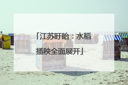 江苏盱眙：水稻插秧全面展开
