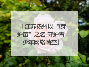 江苏扬州以“i芽护苗”之名 守护青少年网络晴空