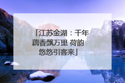 江苏金湖：千年藕香飘万里 荷韵悠悠引客来