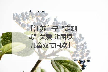 江苏阜宁“定制式”关爱 让困境儿童双节同欢
