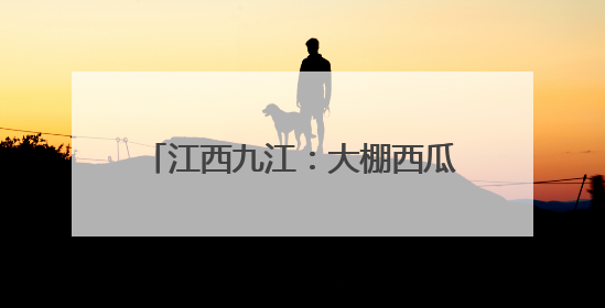 江西九江：大棚西瓜抢“鲜”上市 开启夏日“甜蜜模式”