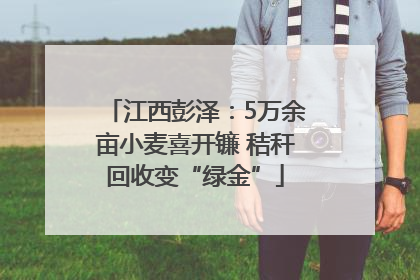 江西彭泽：5万余亩小麦喜开镰 秸秆回收变“绿金”