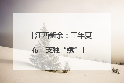 江西新余：千年夏布一支独“绣”