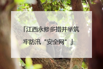 江西永修多措并举筑牢防汛“安全网”