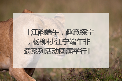 江韵端午，趣意探宁，杨柳村·江宁端午非遗系列活动圆满举行