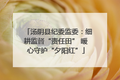 汤阴县纪委监委：细耕监督“责任田” 暖心守护“夕阳红”