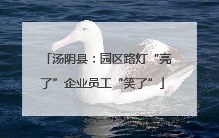 汤阴县：园区路灯“亮了”企业员工“笑了”
