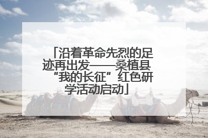 沿着革命先烈的足迹再出发——桑植县“我的长征”红色研学活动启动
