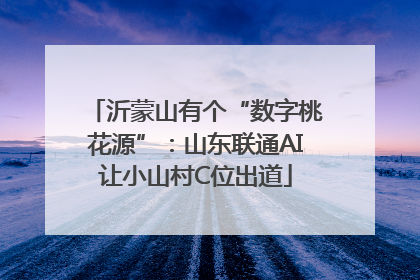 沂蒙山有个“数字桃花源”：山东联通AI让小山村C位出道