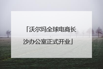 沃尔玛全球电商长沙办公室正式开业