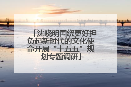 沈晓明围绕更好担负起新时代的文化使命开展“十五五”规划专题调研