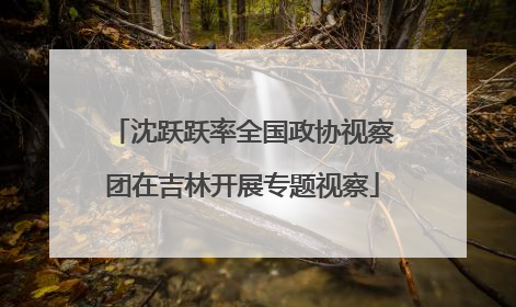 沈跃跃率全国政协视察团在吉林开展专题视察