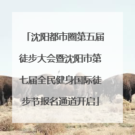 沈阳都市圈第五届徒步大会暨沈阳市第七届全民健身国际徒步节报名通道开启