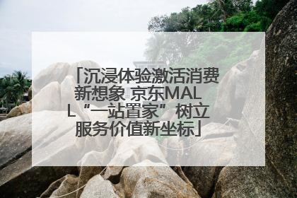 沉浸体验激活消费新想象 京东MALL“一站置家”树立服务价值新坐标