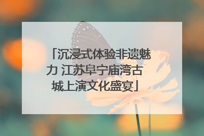 沉浸式体验非遗魅力 江苏阜宁庙湾古城上演文化盛宴