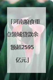 河南粮食重点领域贷款余额超2595亿元