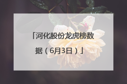 河化股份龙虎榜数据（6月3日）