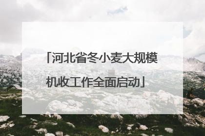 河北省冬小麦大规模机收工作全面启动
