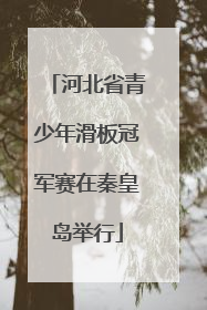 河北省青少年滑板冠军赛在秦皇岛举行