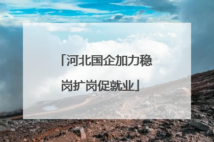 河北国企加力稳岗扩岗促就业